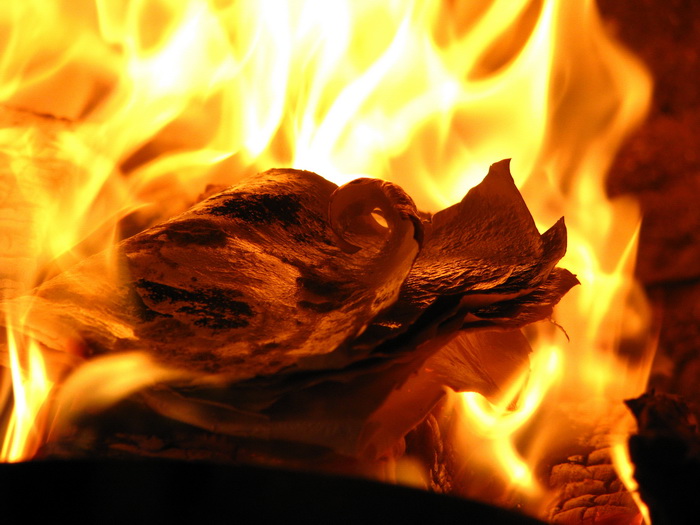 Aber die Zeitung sehr gut beleuchtet.