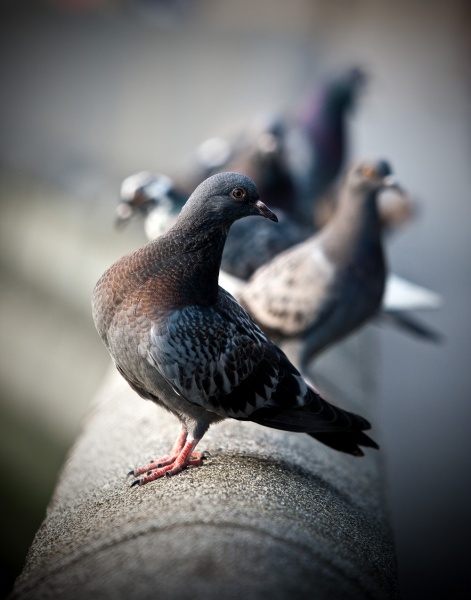 Und Ich mag, dass ich .... Nun lassen Sie mich Brot!