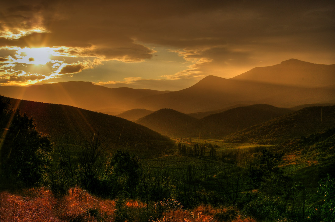 ..... Regen im Tal der Weinberge .....