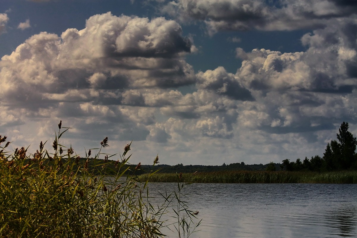 Sommerlandschaft Nummer 2
