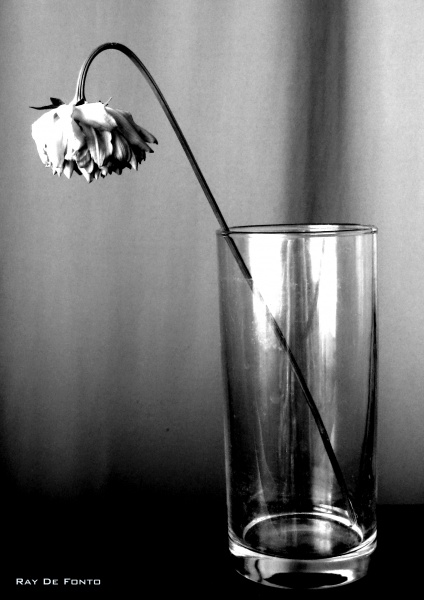 Wenn es zu spät ist, etwas zu tun