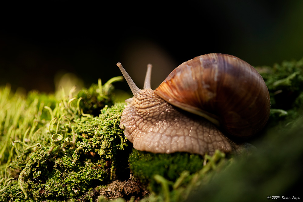 Einem anderen Planeten ...
