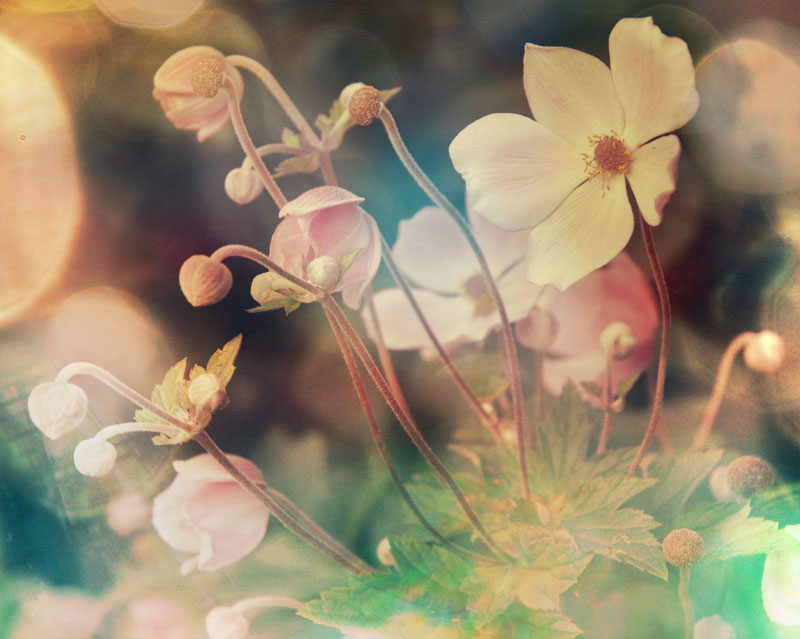 Highlights des Sommers