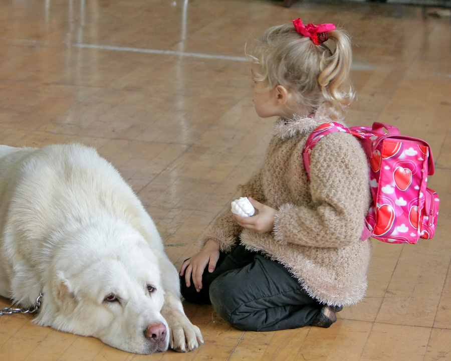 Ich bin für dich zu sehen!