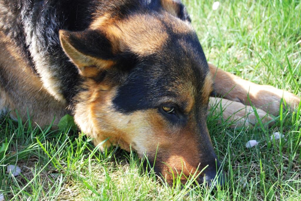 Langjährige Gedanken