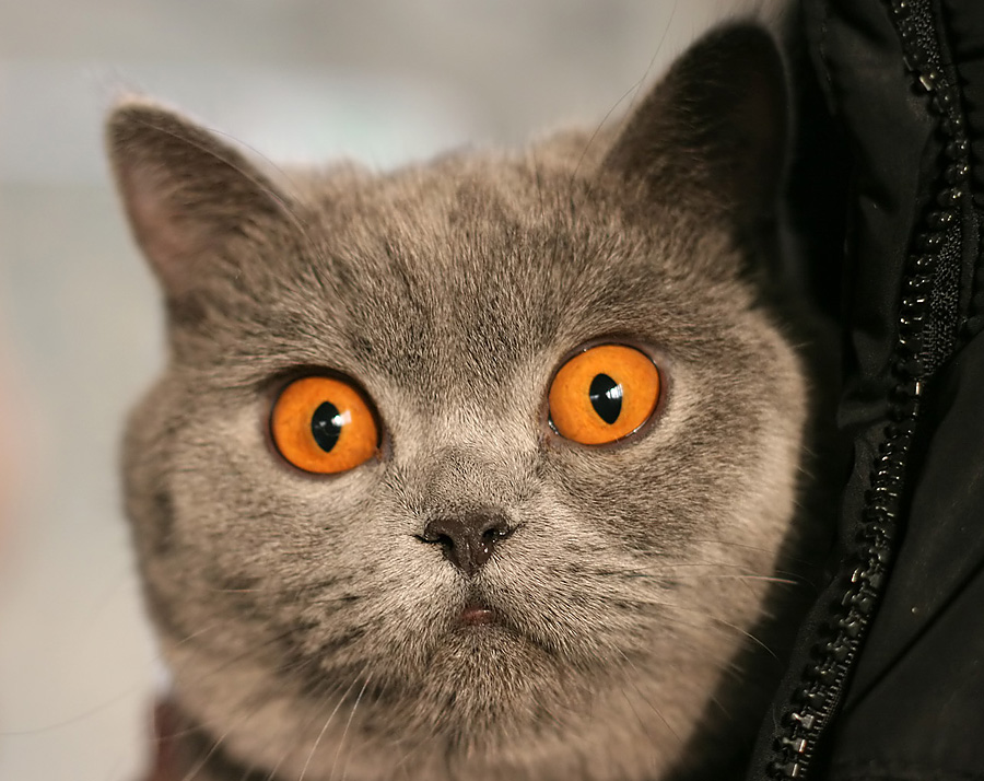 Mama, ich bin schockiert!