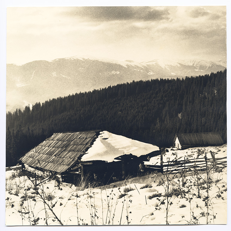 aus der Serie "Lost kleine Welt"