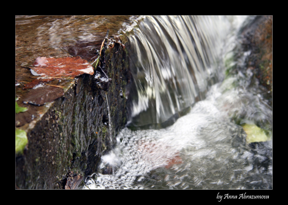 in Erwartung der Herbst
