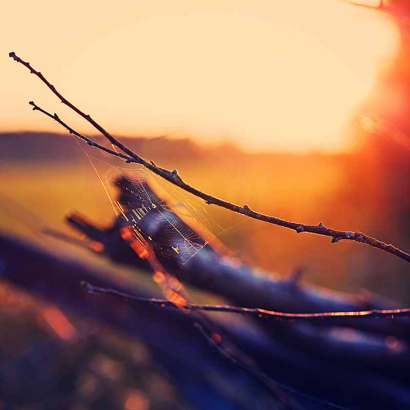 über Sonnenuntergang