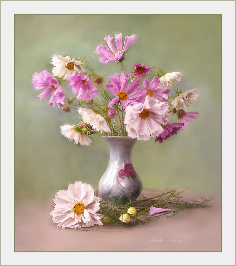 Blumenstrauß aus Kosmos