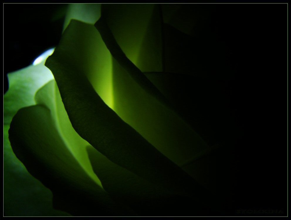 auf den Kreisen des Lebens