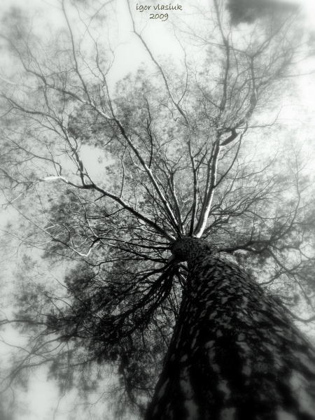 Schau in den Himmel 2