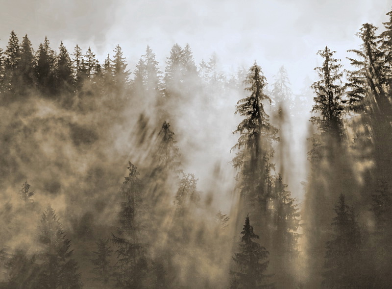 "Burn dimlyat (ukr.mova)