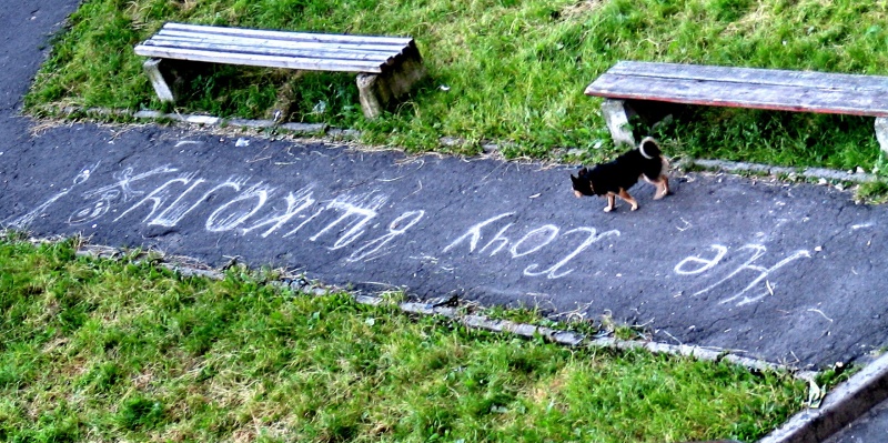 der Ball ging auf der Spur