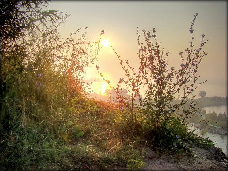 vage Ranak - spyakotny Zen