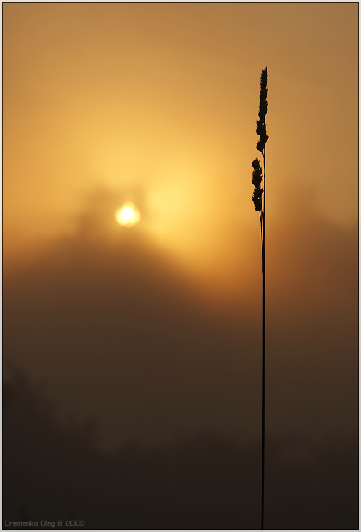 An diesem Morgen ...