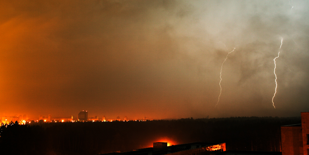 Zeus bei der Arbeit # 1