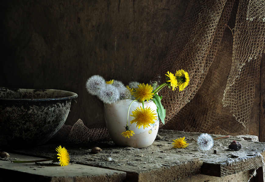 Mit dem Staub und Löwenzahn