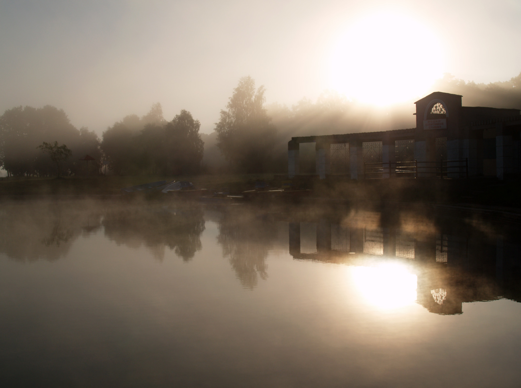 Das Eigentum an den Black Lady