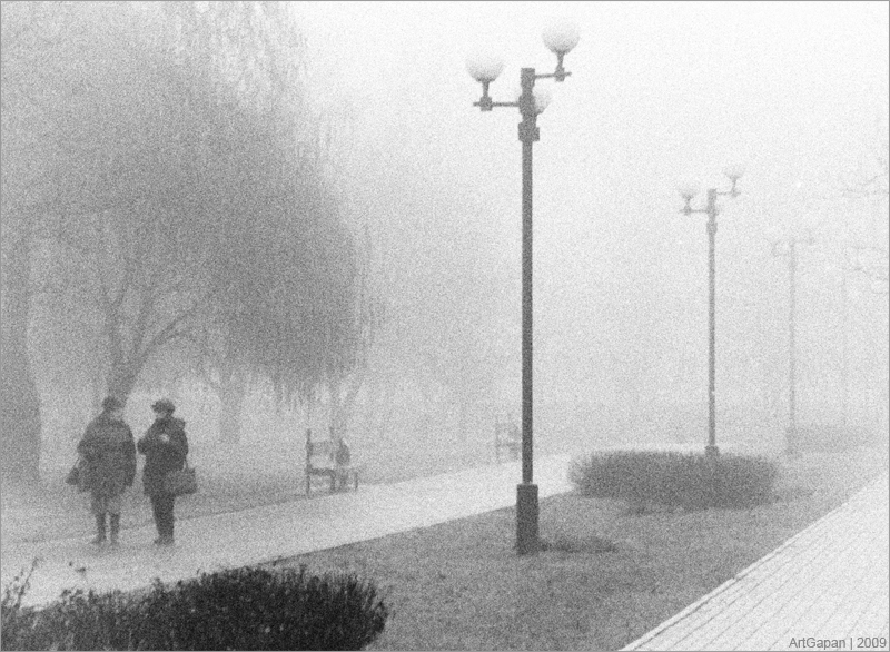 Gespräche in den nebligen Morgen ...