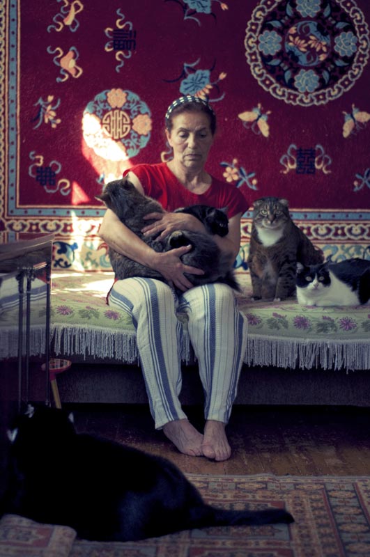 Portrait einer Katze