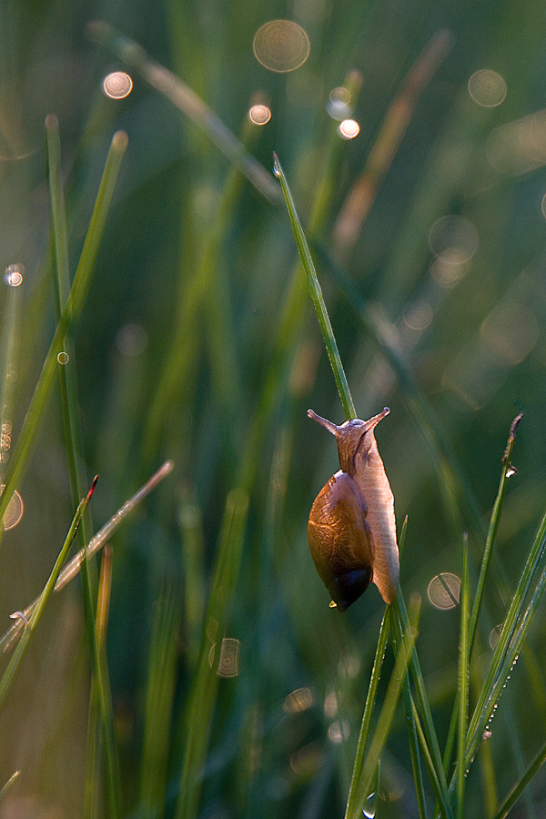 Alle Ihre Belastungen mit euch:)