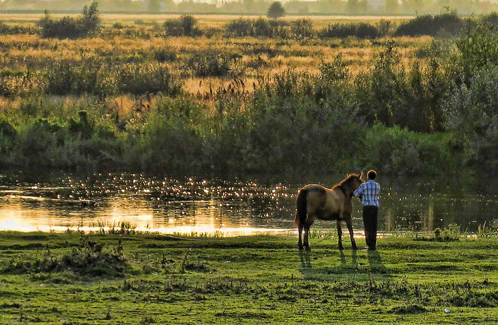 bei Dämmerung kühlt im Sommer ...