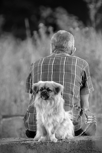 Aktuelle weiß, ich bin heute mit Ihnen, auch im Gegenstrom