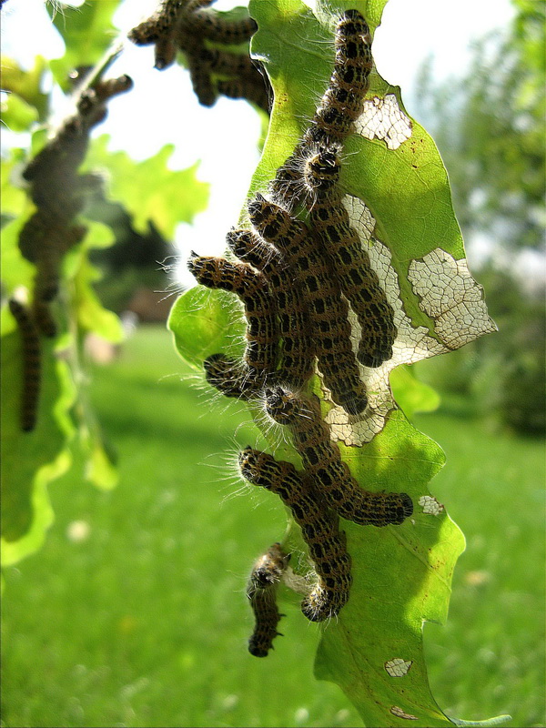 Nun, was ist t. .. n