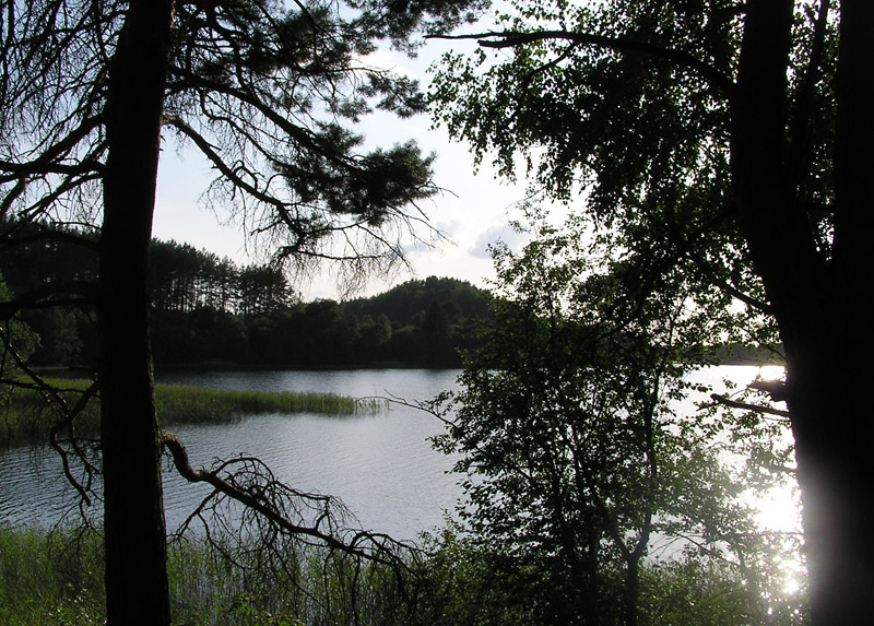 Dort über die Hügel ...