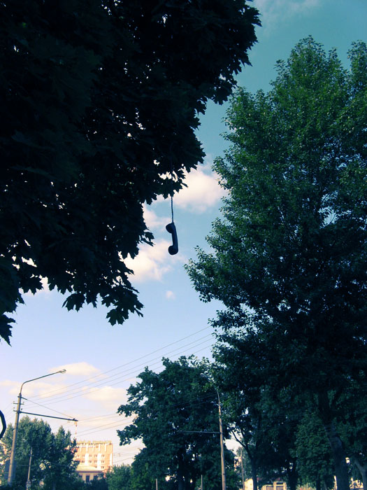 Rufen Sie die Vögel