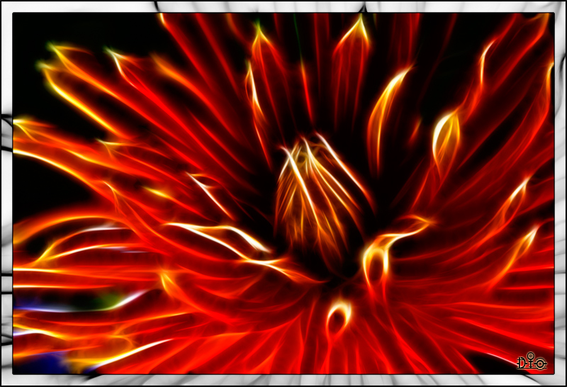 Fire Flower