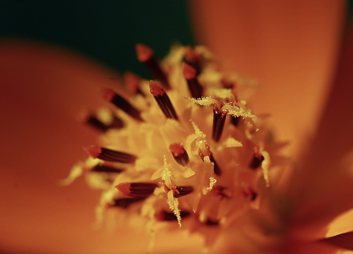 Just ... sehr einfach ....