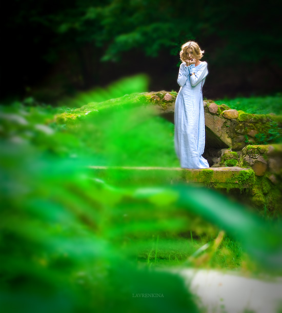 ein rustikales Damm ...