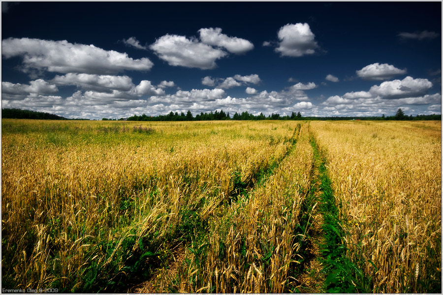 Der August klassischen