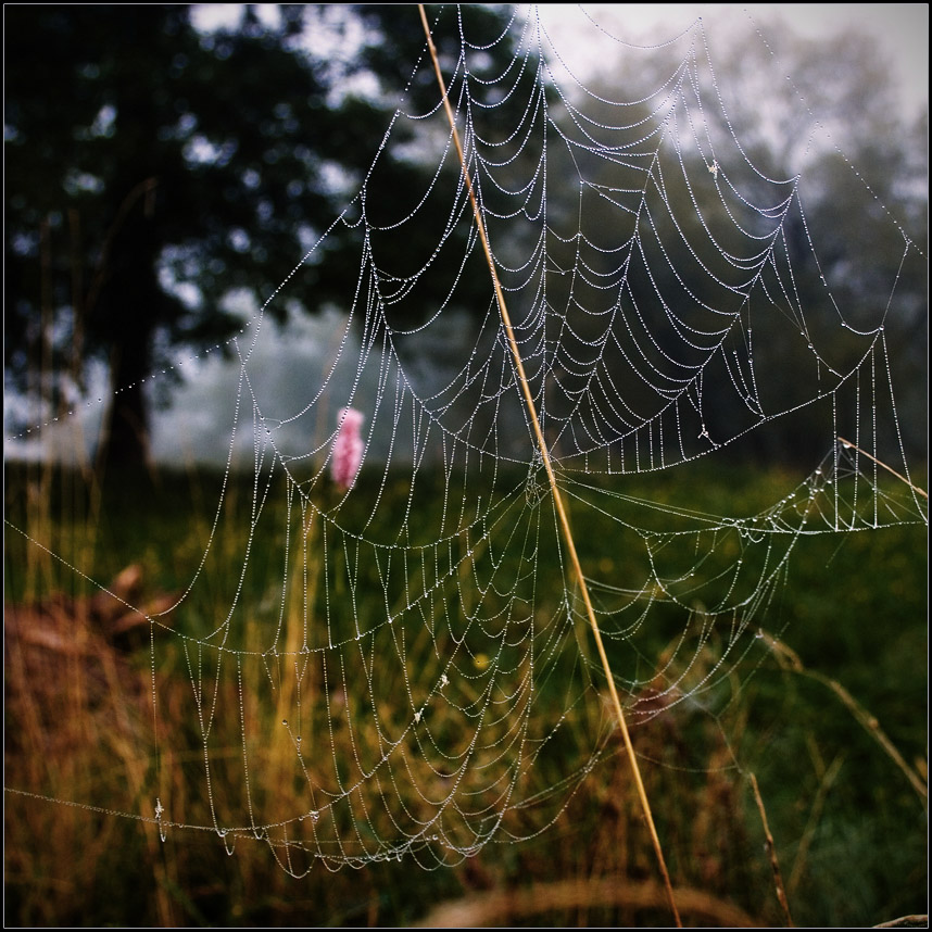 ... Bisser, Perlen ...