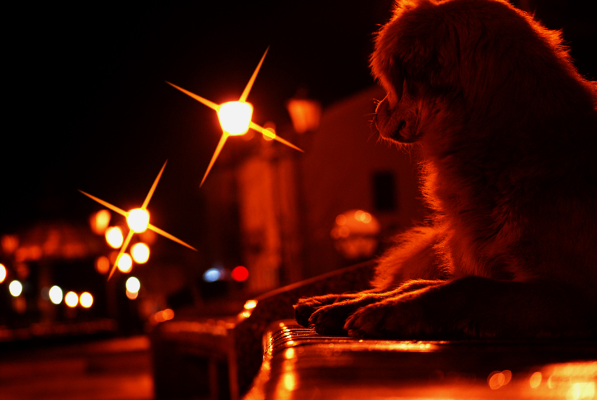 Warten auf ein Wunder ...