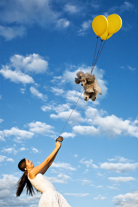 Fotos zum Thema, wie wir lief der Pudel!