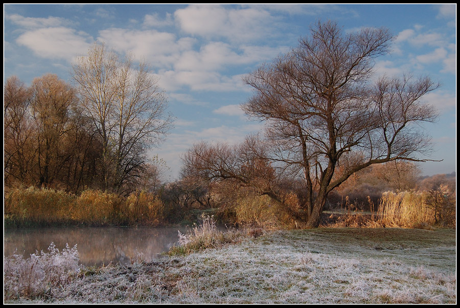 Walking in Oskol # 2