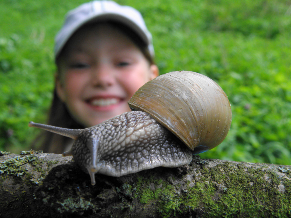 Aus dem Lächeln ....