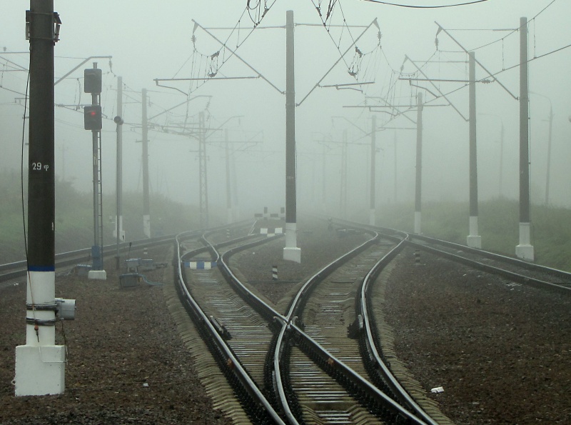 Misty gelernt Geometrie