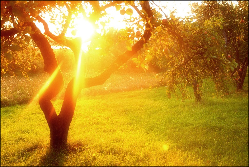 Ein wenig mehr Sonne ...