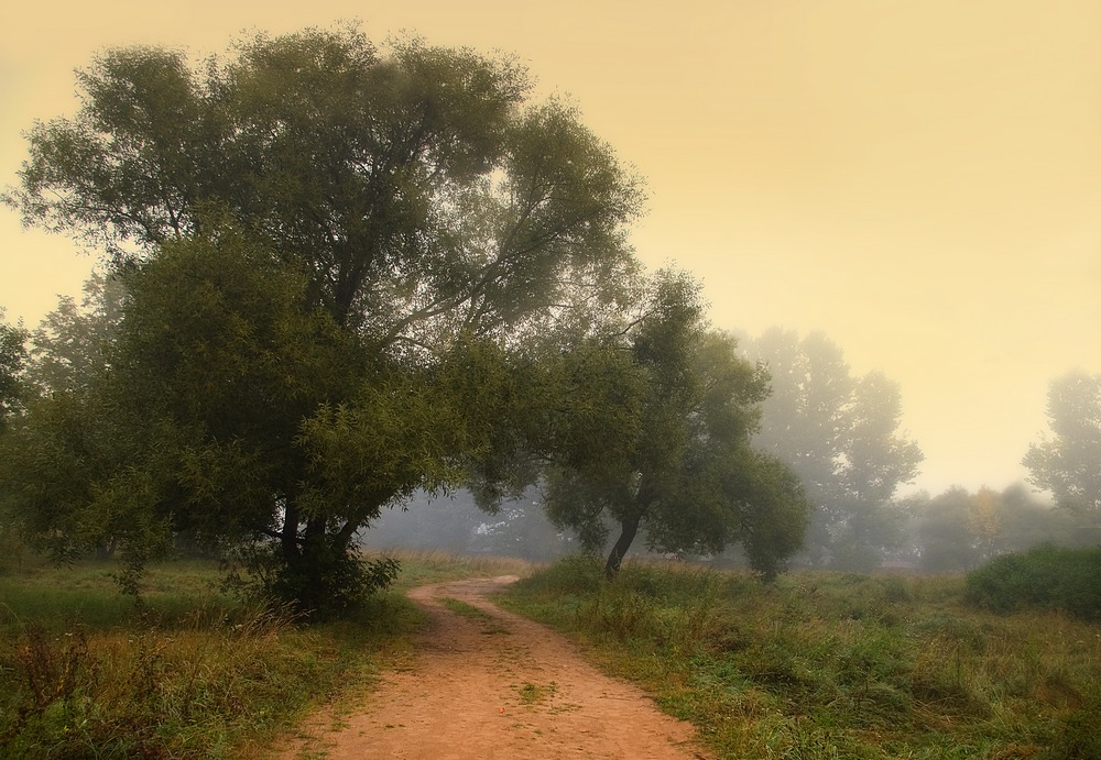 Am letzten Tag des Sommers ....