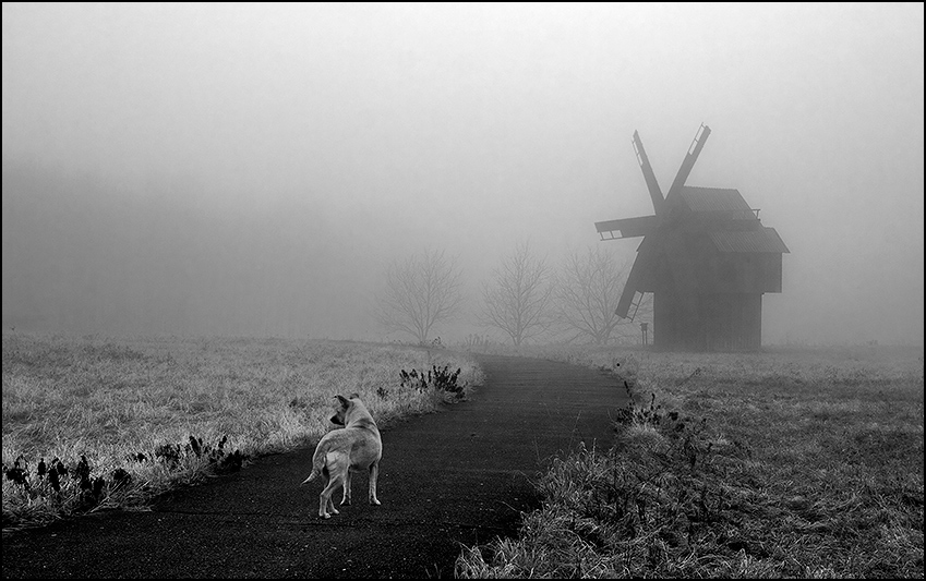 Auf der Suche nach einem Ritter