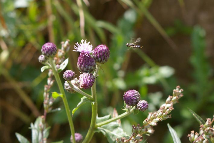 Gefangen in der Zeit