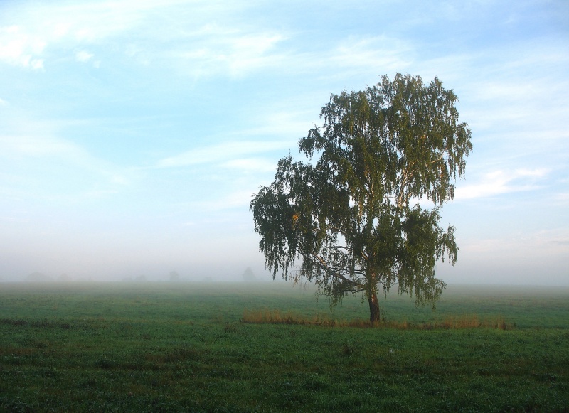 Drei Tage vor dem Herbst