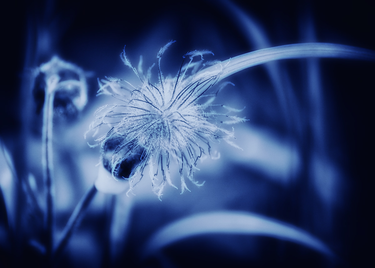 eine blaue Farbe - II