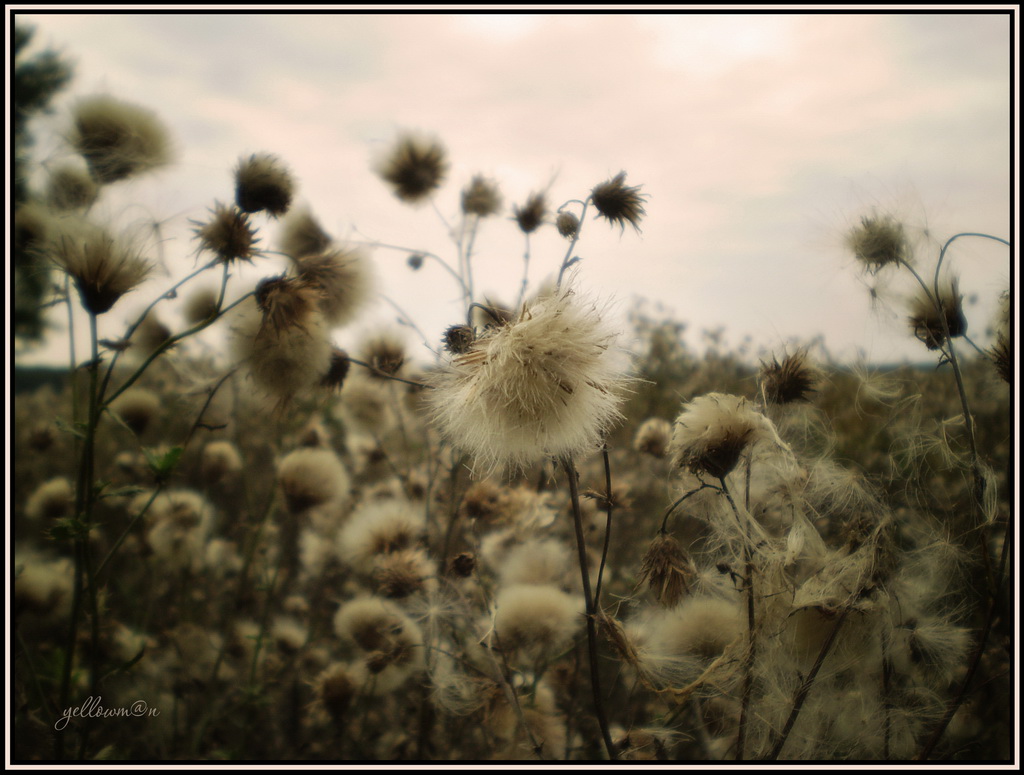 Light flauschig ....