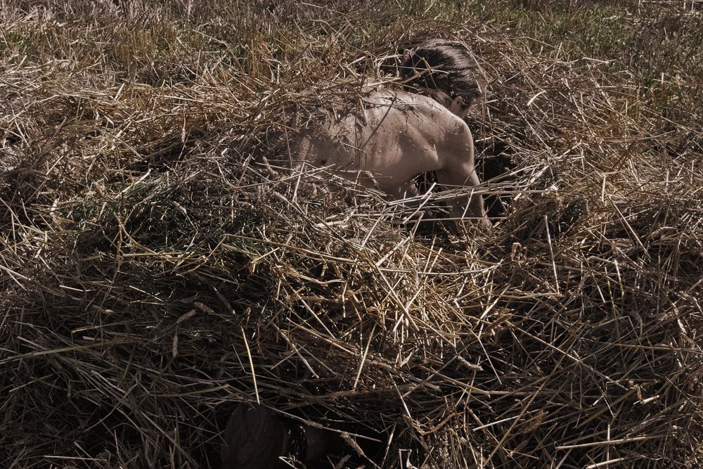 Auf der Suche nach einer Nadel