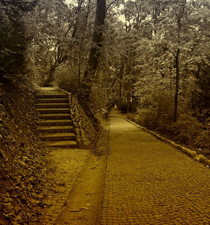 Einem spitzen Winkel ...